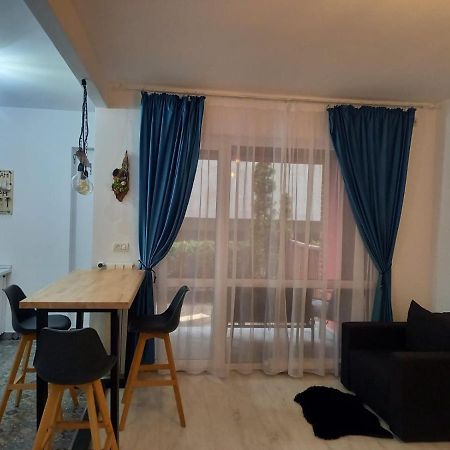 Belleview North Studio Apartment Sinaia Exterior photo