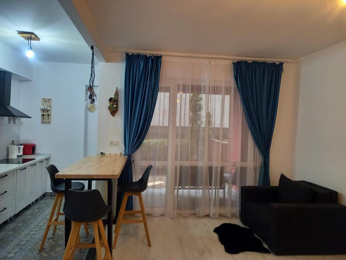 Belleview North Studio Apartment Sinaia Exterior photo