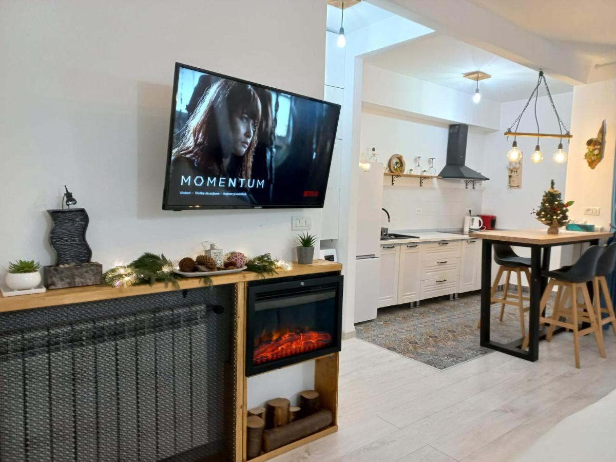 Belleview North Studio Apartment Sinaia Exterior photo